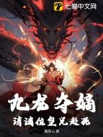 九龙夺嫡是什么朝代