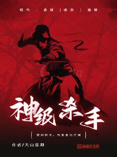 顶级杀手系统