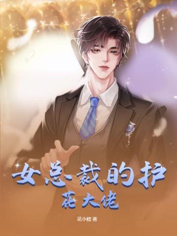 美女总裁的护花高手